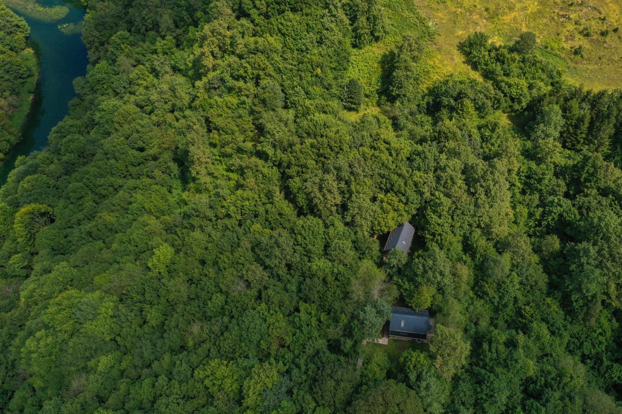 Appartement Tree Elements Treehouse Retreat à Slunj Extérieur photo